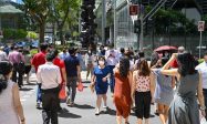 新加坡移民政策